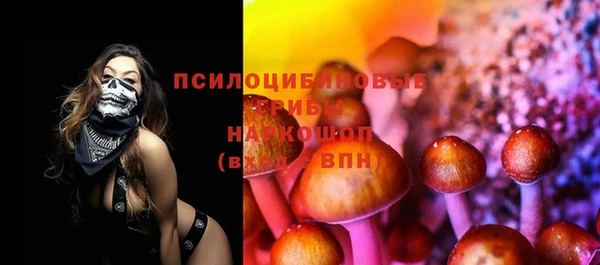 гашик Бугульма