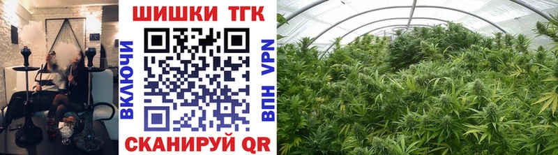 Каннабис OG Kush  Кораблино 